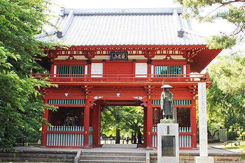 キティ　清水公園　さくらアフロ　根付け　しみず公園 清水公園さくらまつり | 野田市 | 子供とお出かけ情報「いこーよ」
