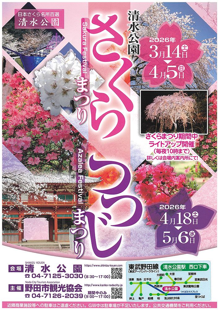 つつじまつりのお知らせと開花状況 - 清水公園 公式ホームページ
